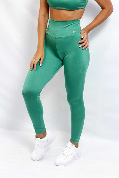 LEGGING SHINE DELLUX ref.8983